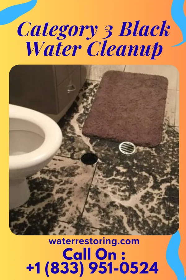 Category 3 Black Water Cleanup in Elbing, KS