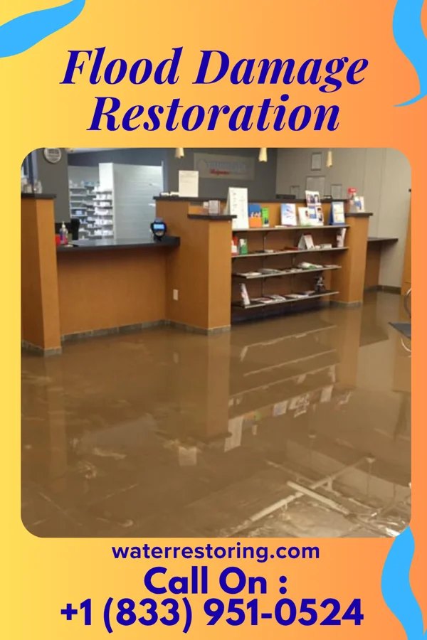 Flood Damage Restoration in Elbing, KS