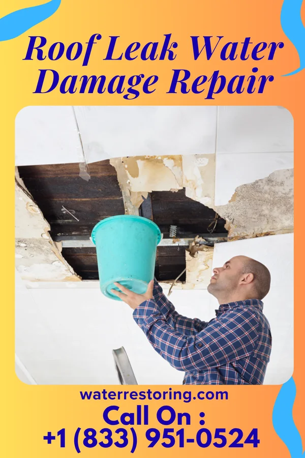Roof Leak Water Damage Repair in Elbing, KS