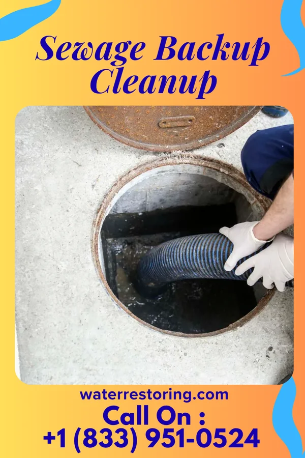 Sewage Backup Cleanup in Elbing, KS
