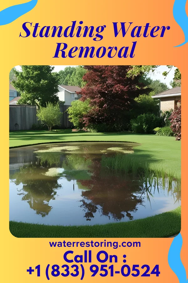 Standing Water Removal in Elbing, KS